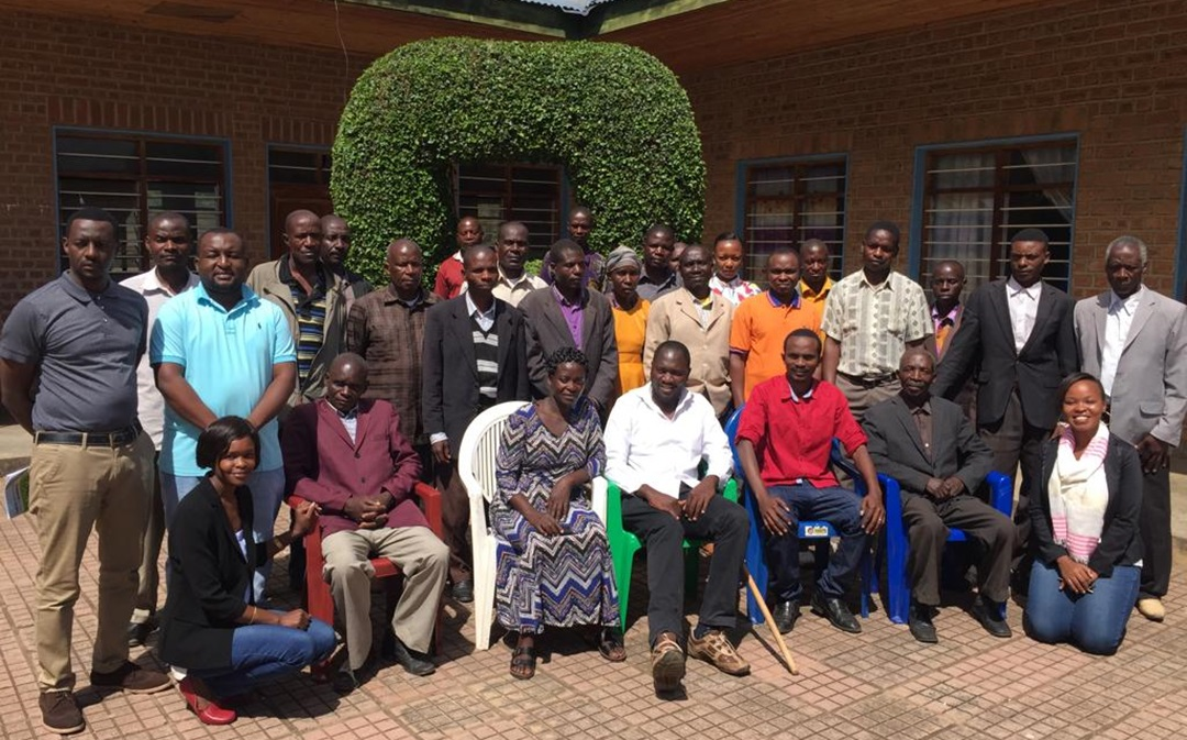 promotiion of rule of law