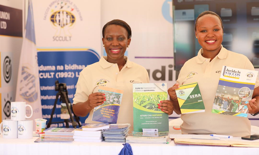 Legal Research and Publication